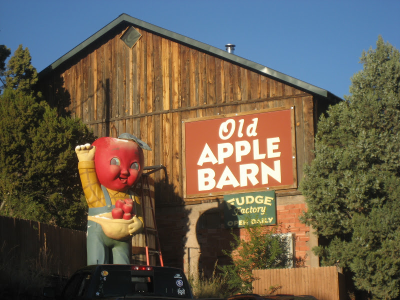 Living Rootless Cloudcroft, NM Karr Canyon and the Mystery of