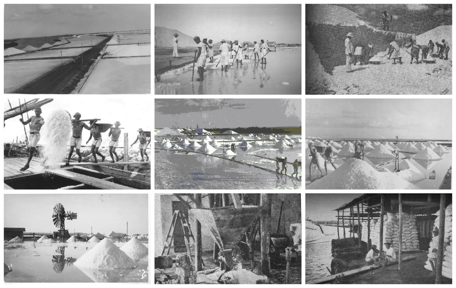 VENTO NORDESTE A MACAU DO RIO GRANDE DO NORTE TERRA DO SOL E DO SAL