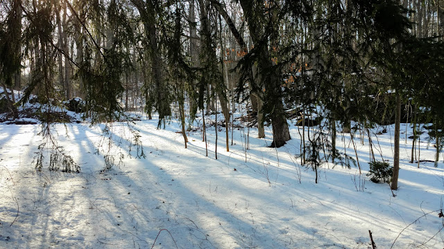 Парк Кіттатінні, Нью-Джерсі (Kittatinny Valley State Park, Newton, NJ)