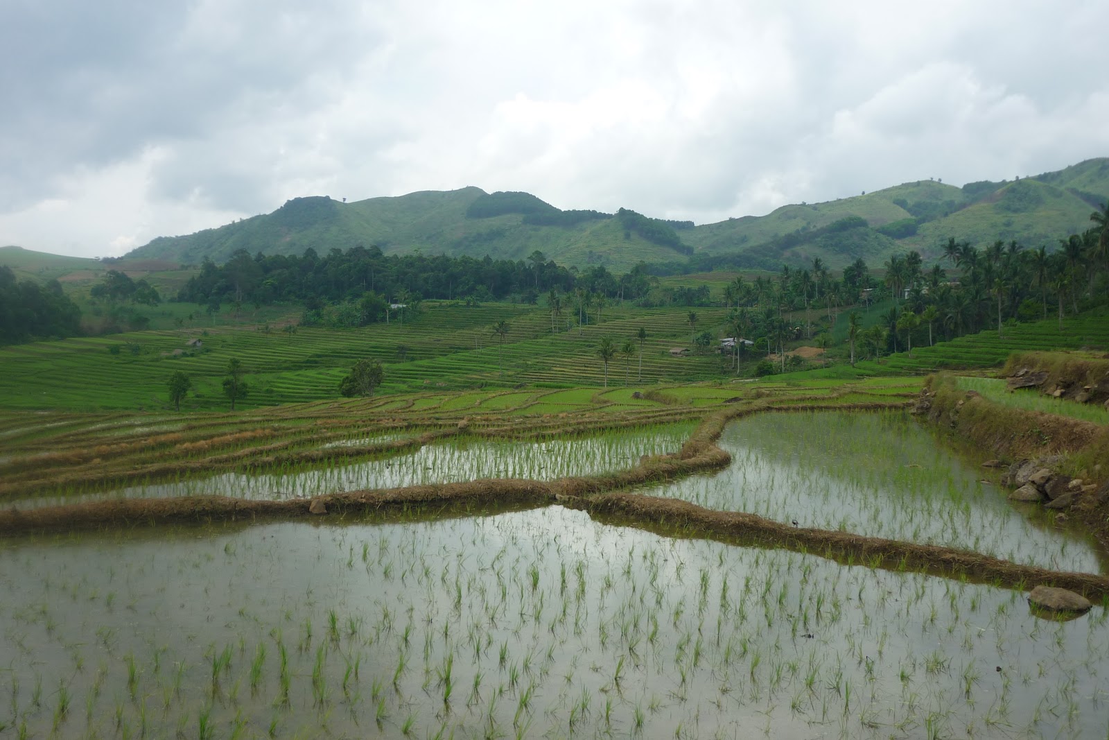 Isabela, Negros Occidental: Brgy. Riverside, Isabela Negros Occidental