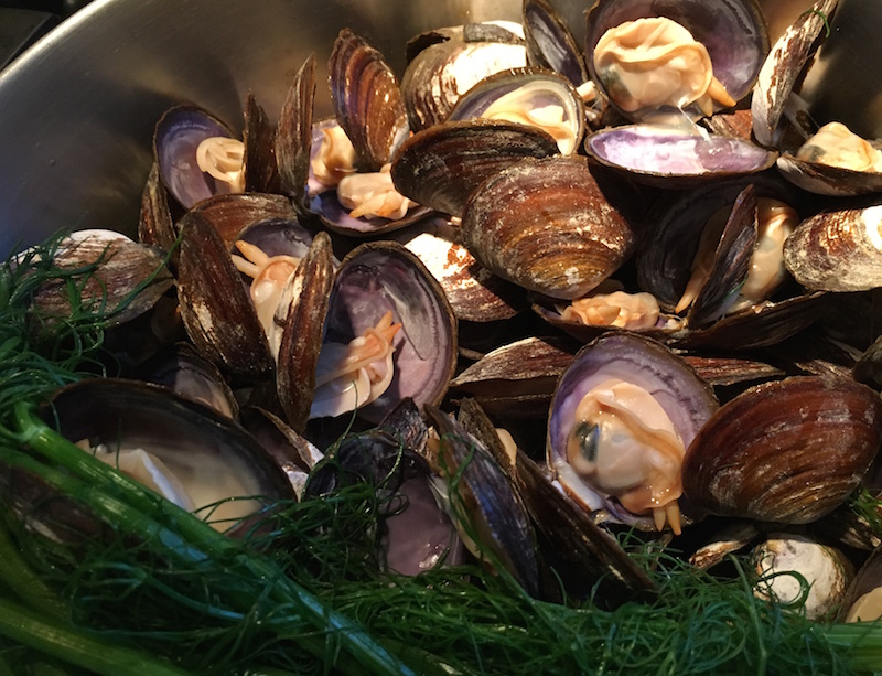 Good Stuff NW Eat 'Em to Beat 'Em Purple Varnish Clams