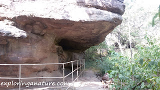 Bhimbetka, The Rock Shelters