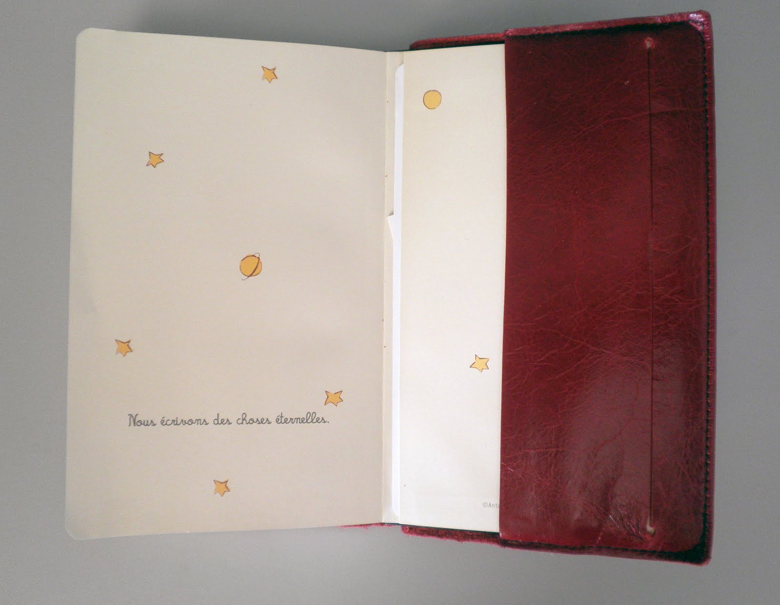 Pocket Blonde Renaissance Art Leather Moleskine Cover