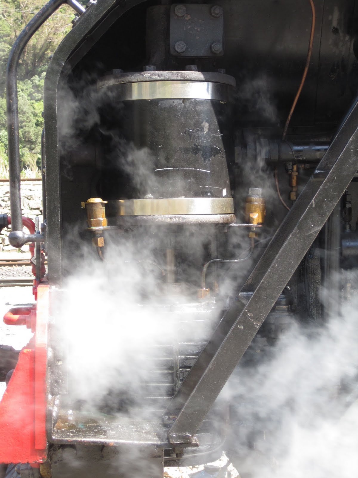 Carolyn in Aotearoa: Steam Train, Day Seven: Greymouth to Christchurch