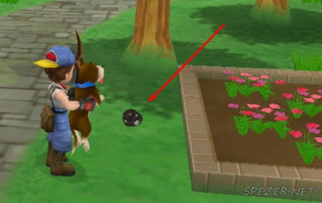 Lokasi Power Berry 1 Lokasi Power Berry 1 HM HoLV - PSP Android