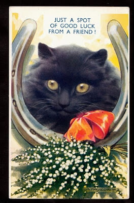 Black Cat Hell Drivers Black Cat Hell Drivers