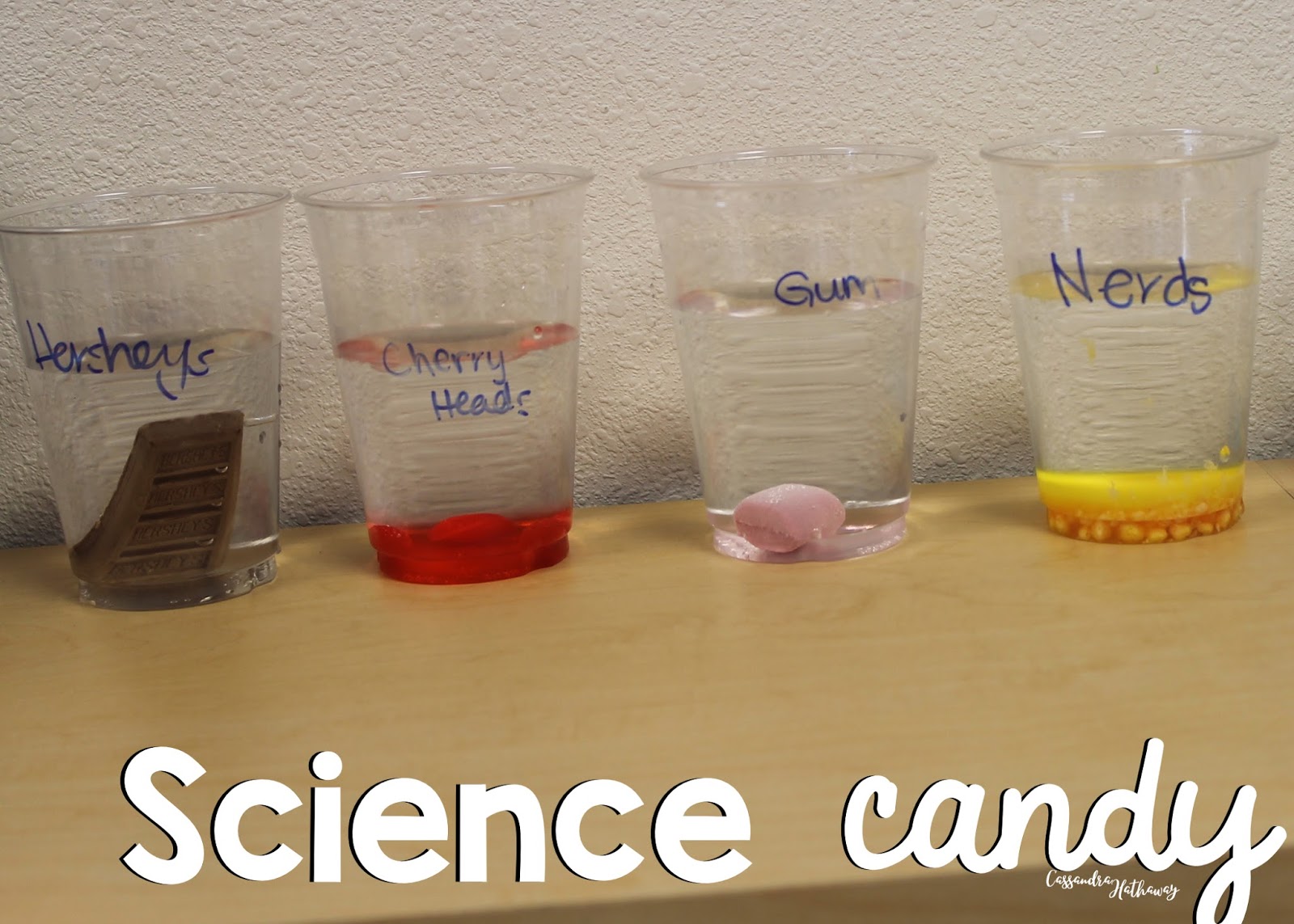 Halloween Candy . . . what to do with it all!?! Cassandra Hathaway