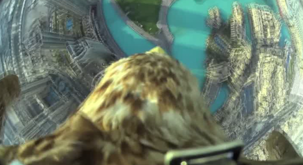 Eagle flying in Dubai randommusings.filminspector.com