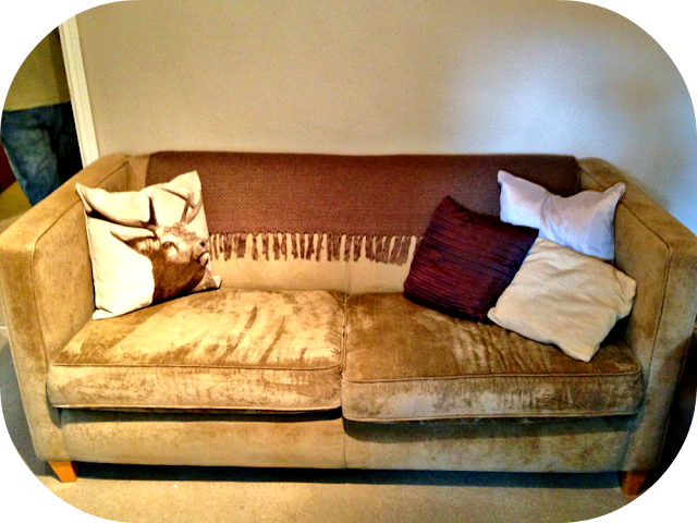 cute sofa with Matalan Stag cushion