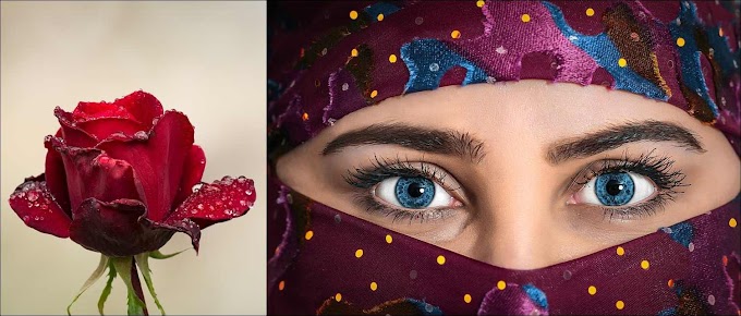 गुलाब जल के फायदे और नुकसान - Advantages and Disadvantages of Rose Water