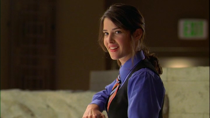 Cobie Smulders Movies And Tv Shows