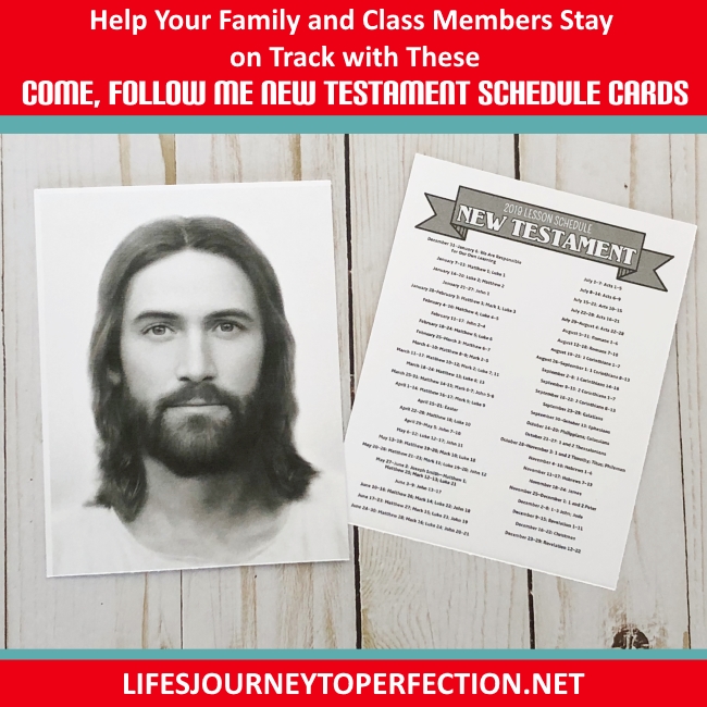 Life's Journey To Perfection Help Your Family and Class Members Stay