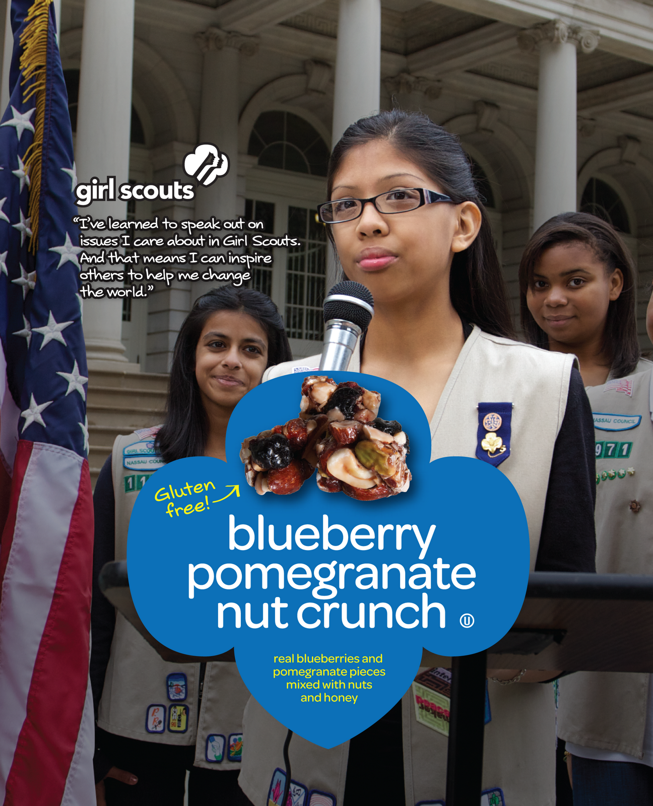 Girl Scouts of Northern California Dark Chocolate Mint Penguins