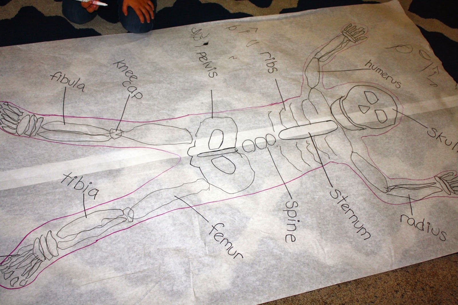 My Homeschooling Journal: Skeleton Lesson Plan for Preschool (includes