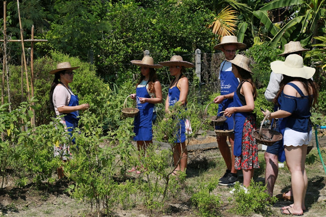 Thai Secret Cooking Class Photos. March 12-2017. Pa Phai, San Sai District, Chiang Mai, Thailand.