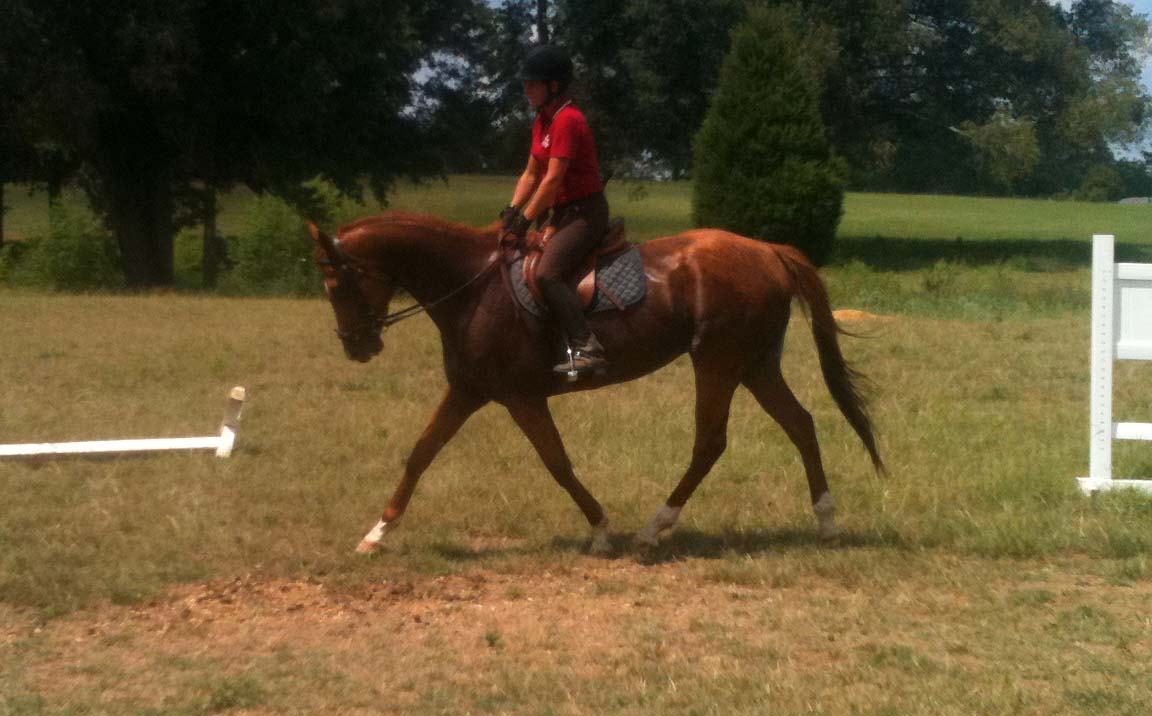 Springstone Horses Springstone's Phippen