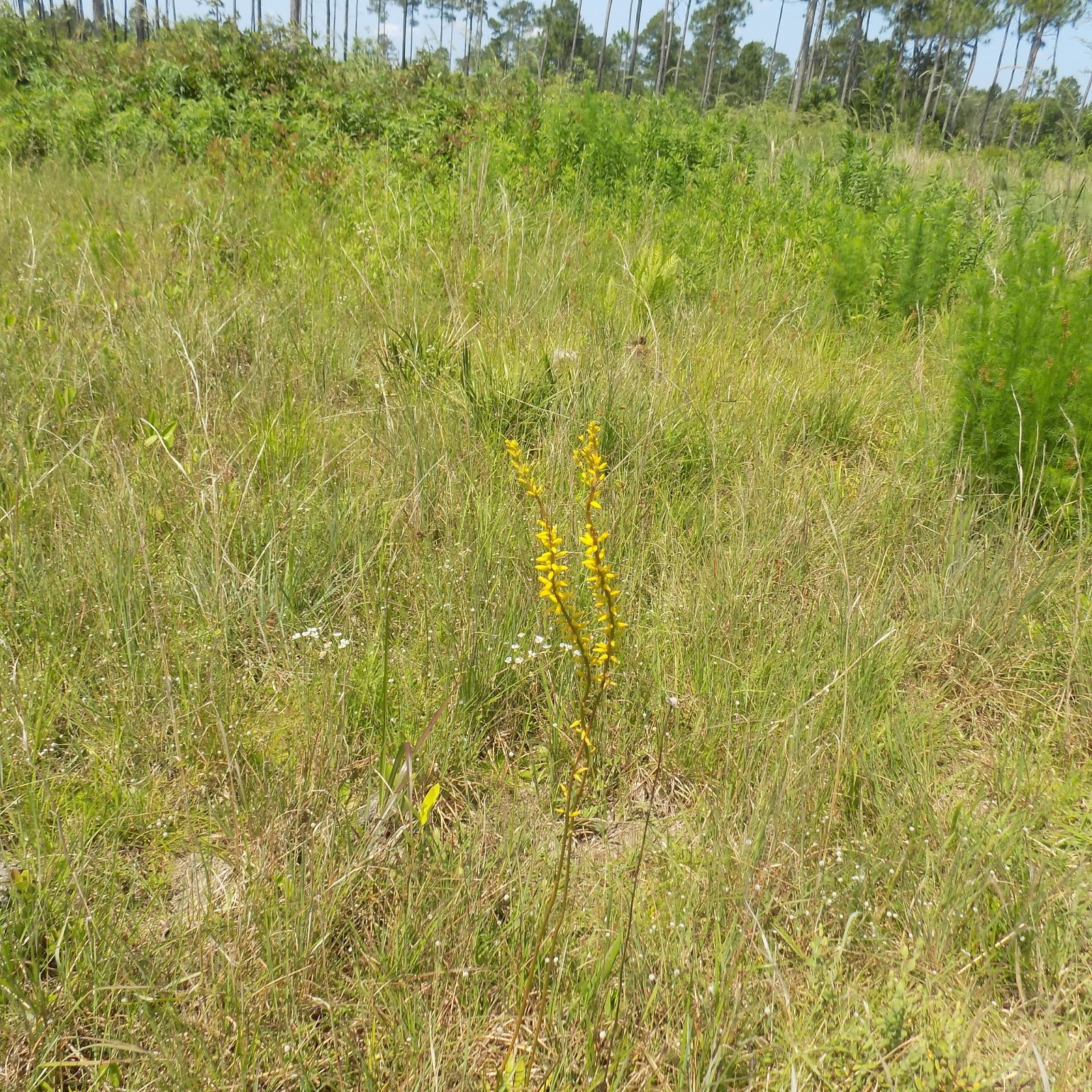 Preserve Golf Club Agronomy