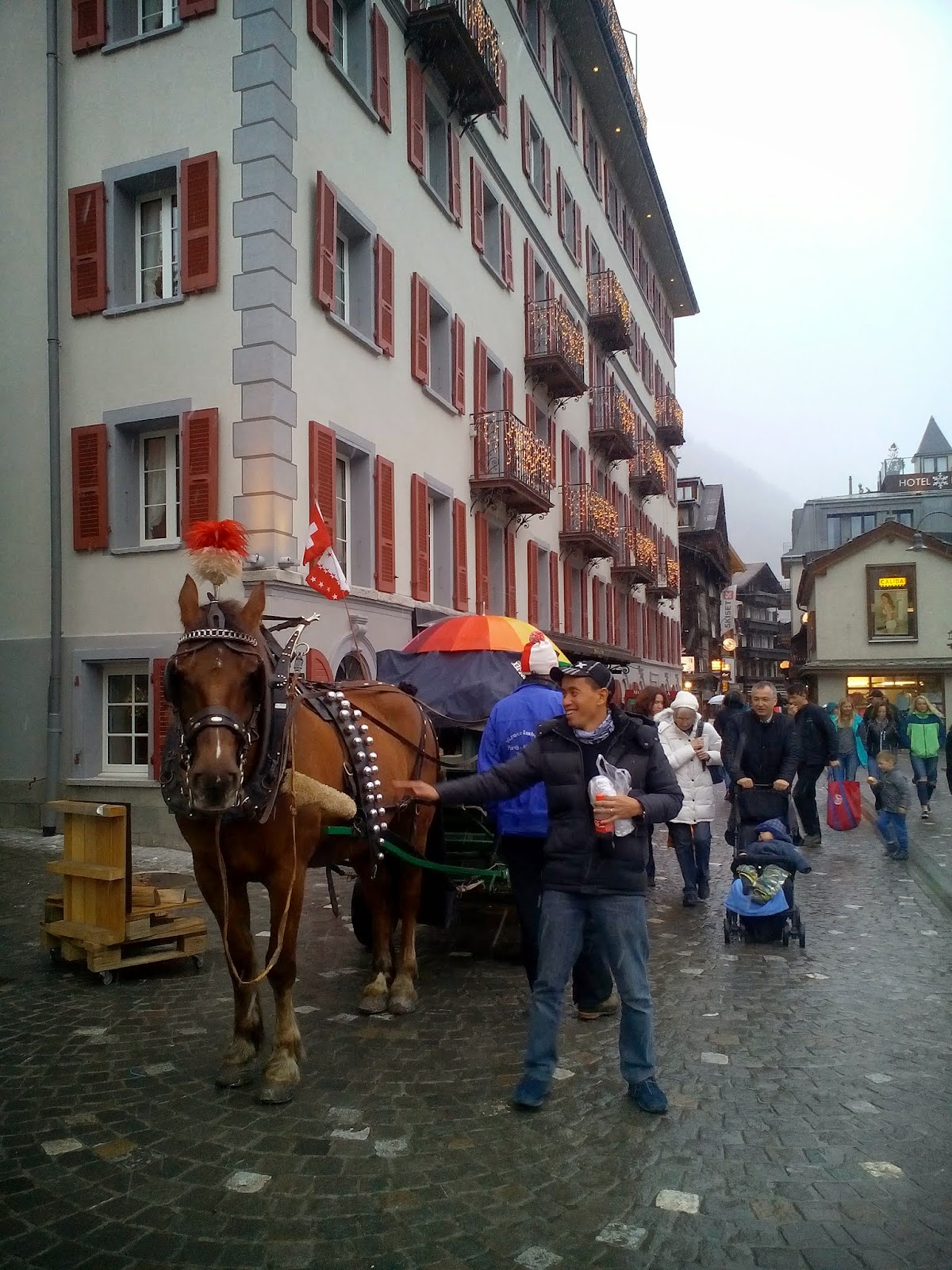 Zermatt Switzerland лошади