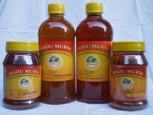 madu standard sni murni 100 black garlic indonesia madu standard sni murni 100 black garlic indonesia
