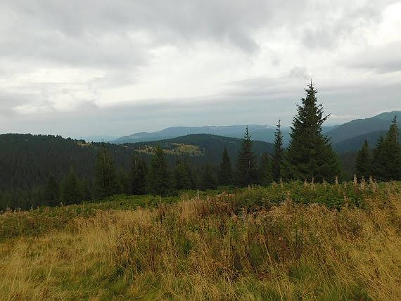 Jedne z pierwszych widoków po wyjściu z lasu.
