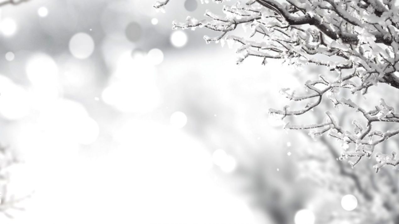 Beaches Roll Waves Look Rocks Trees Watch Beach HD Wallpaper for