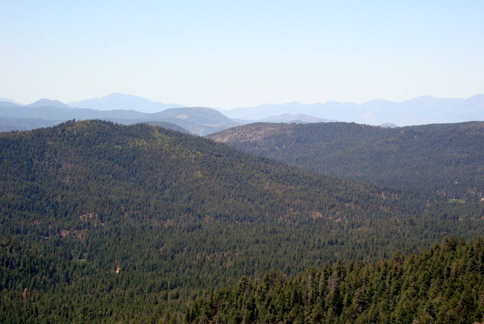 Forest Road 300 Arizona Map United States Map