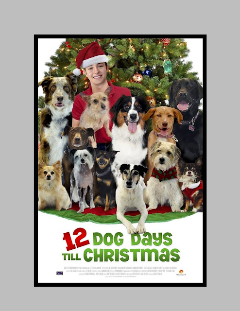 12 dias perros hasta navidad