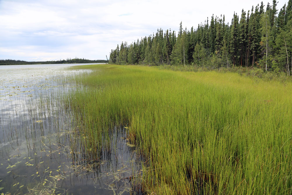 usbackroads™ usbackroadsDeadman Lake, Tetlin National Wildlife