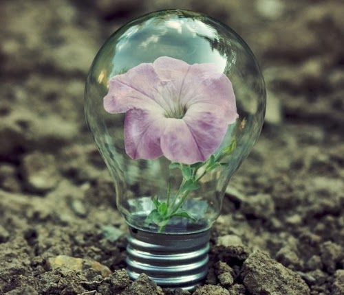 05-Photographer-Adrian-Limani-Life-in-a-Lightbulb-www-designstack-co