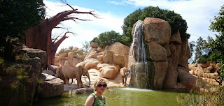 Bioparc Valencia. Bioparc Valencia.