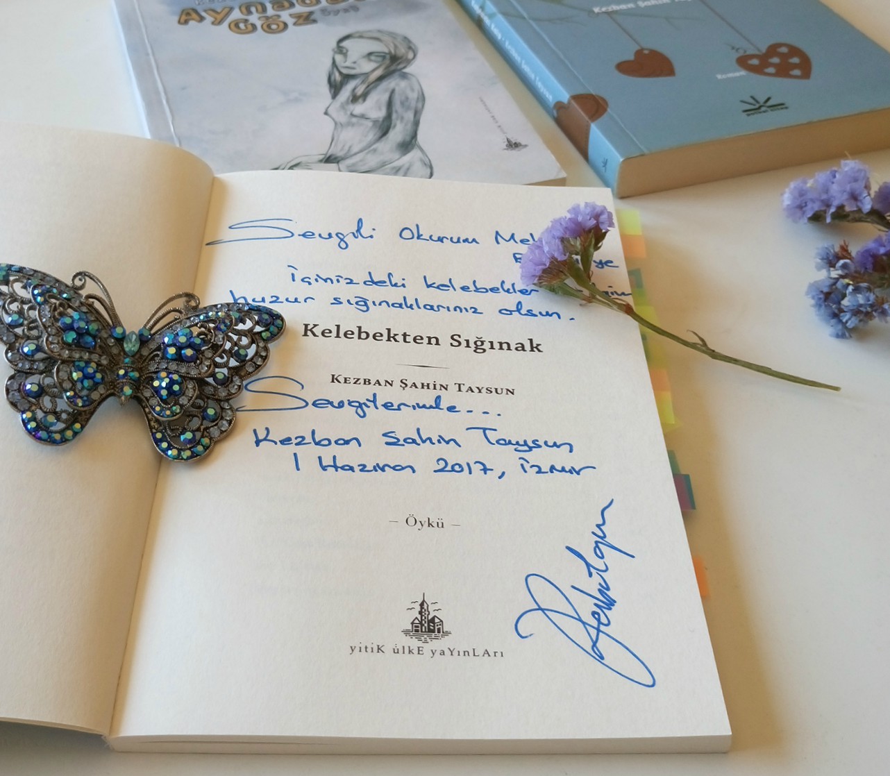 Kitaplarım ve Ben : Kitap Blogu : Okudum Bitti- 79 : Kelebekten Sığınak