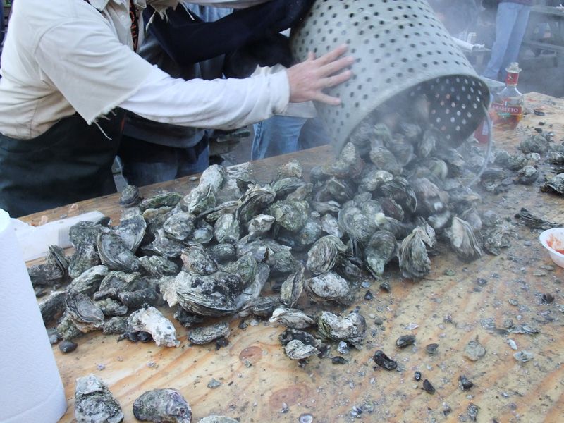 Ocracoke Island Journal Oyster Roast