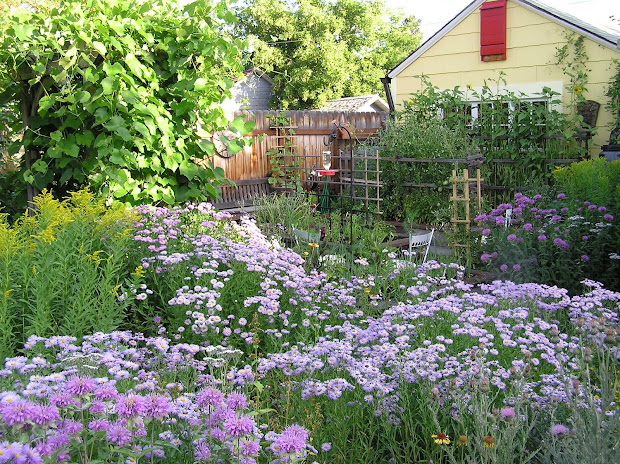 montana wildlife gardener flathead