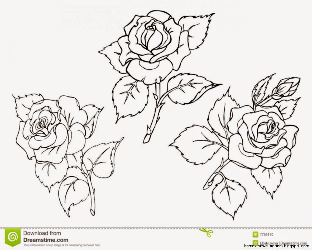 Pictures Of Roses To Trace