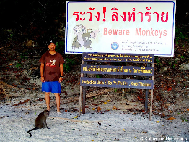 Monkey Beach, Ko Phi Phi Don, Krabi, Thailand