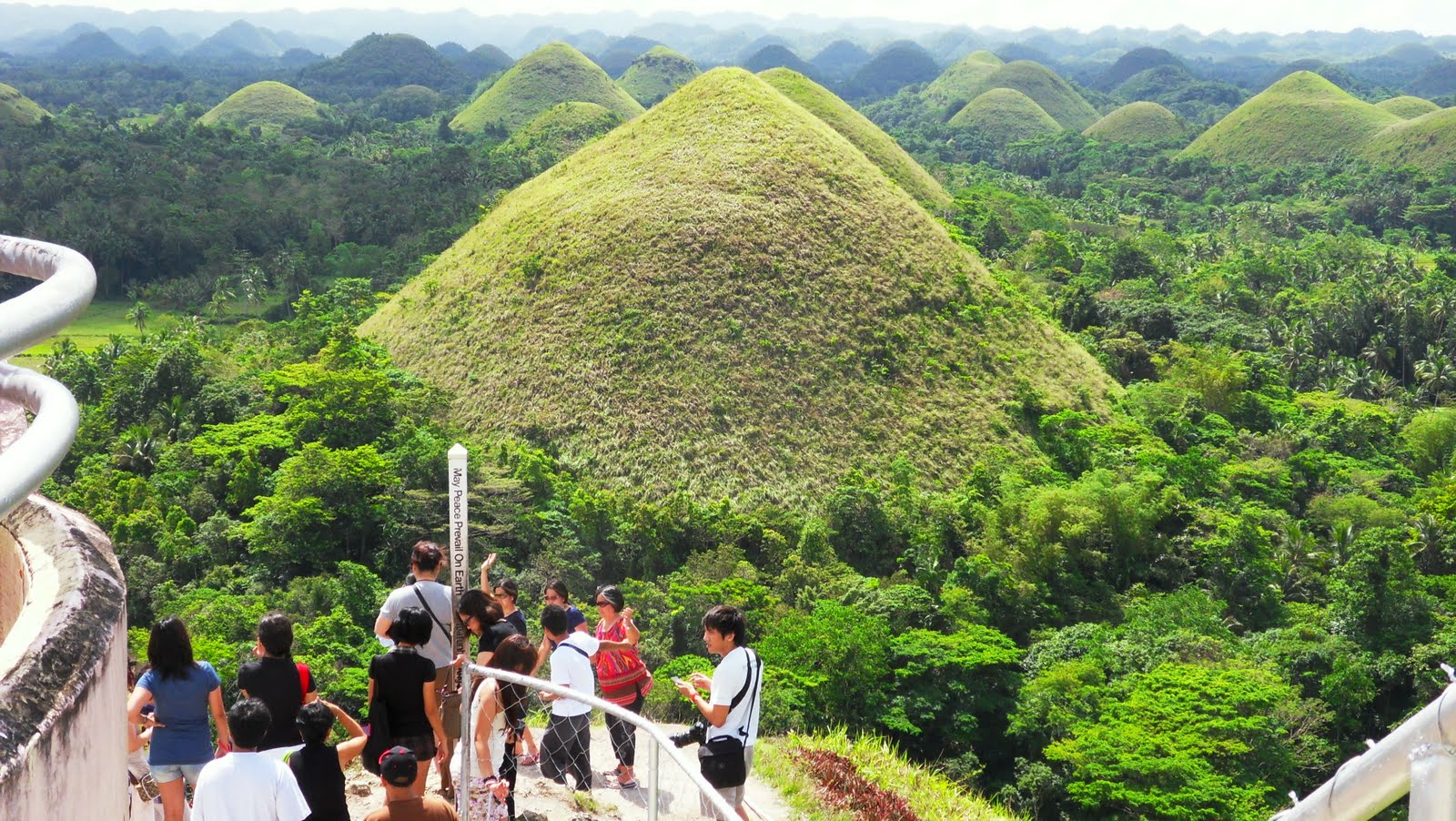 My Favorite Things Where to go in Bohol Chocolate Hills