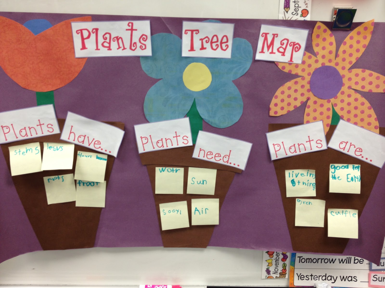 Ms. Crowley's Class: Plants, Plants, and more Plants!
