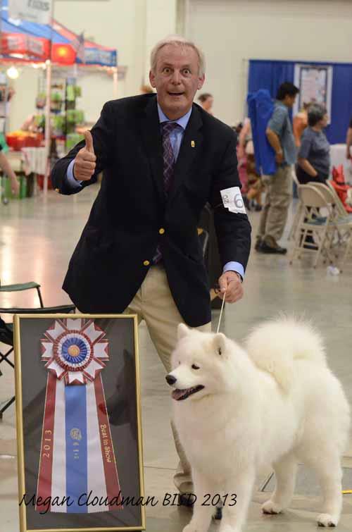 Professional Dog Grooming Shampoo MD10 Collection Champu para Perros