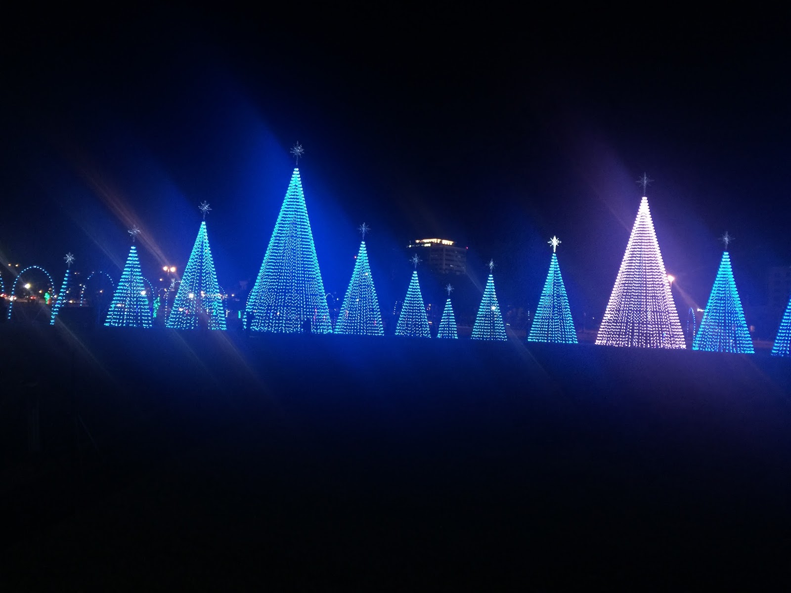 Random Thoughts Christmas lights at Jones Park Gulfport, MS