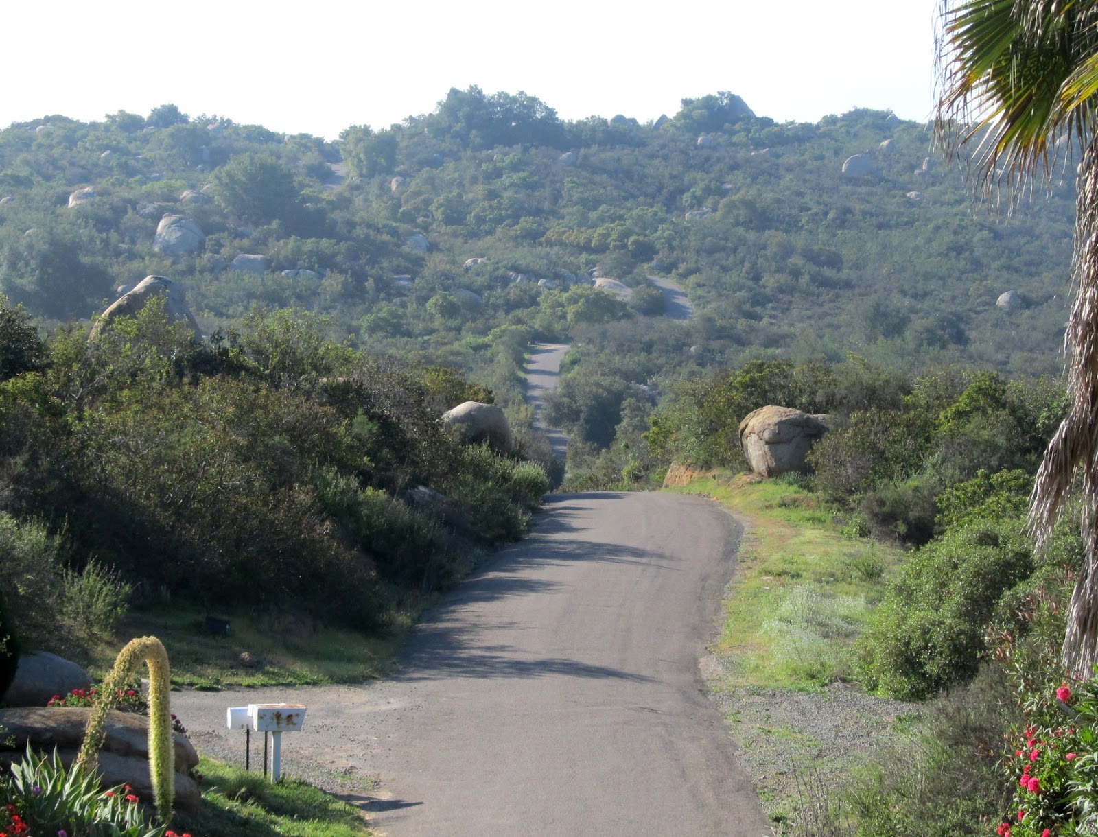 A ride through the enchanted forest of Fallbrook, De Luz