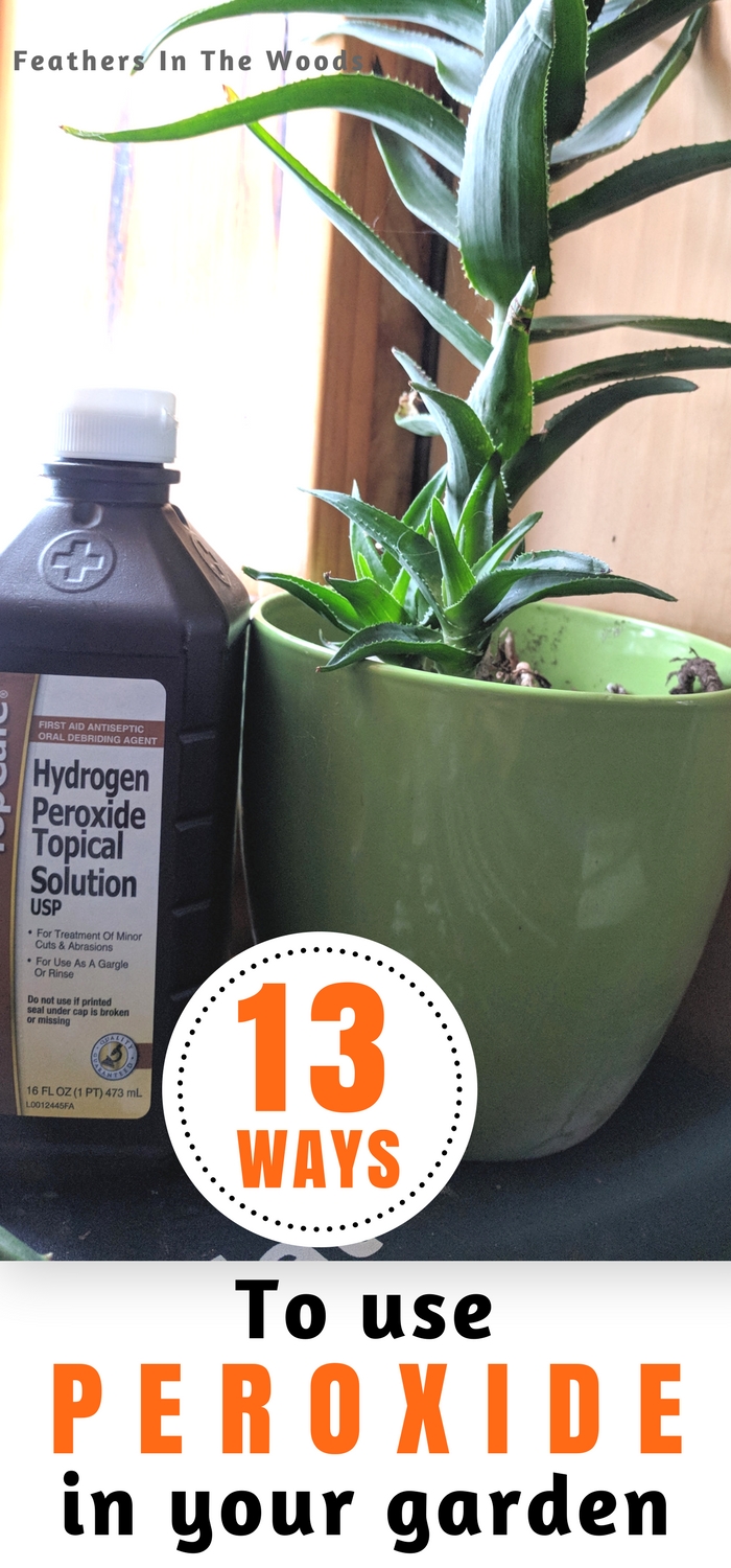 13 uses for peroxide in the garden (and on houseplants!) Feathers in