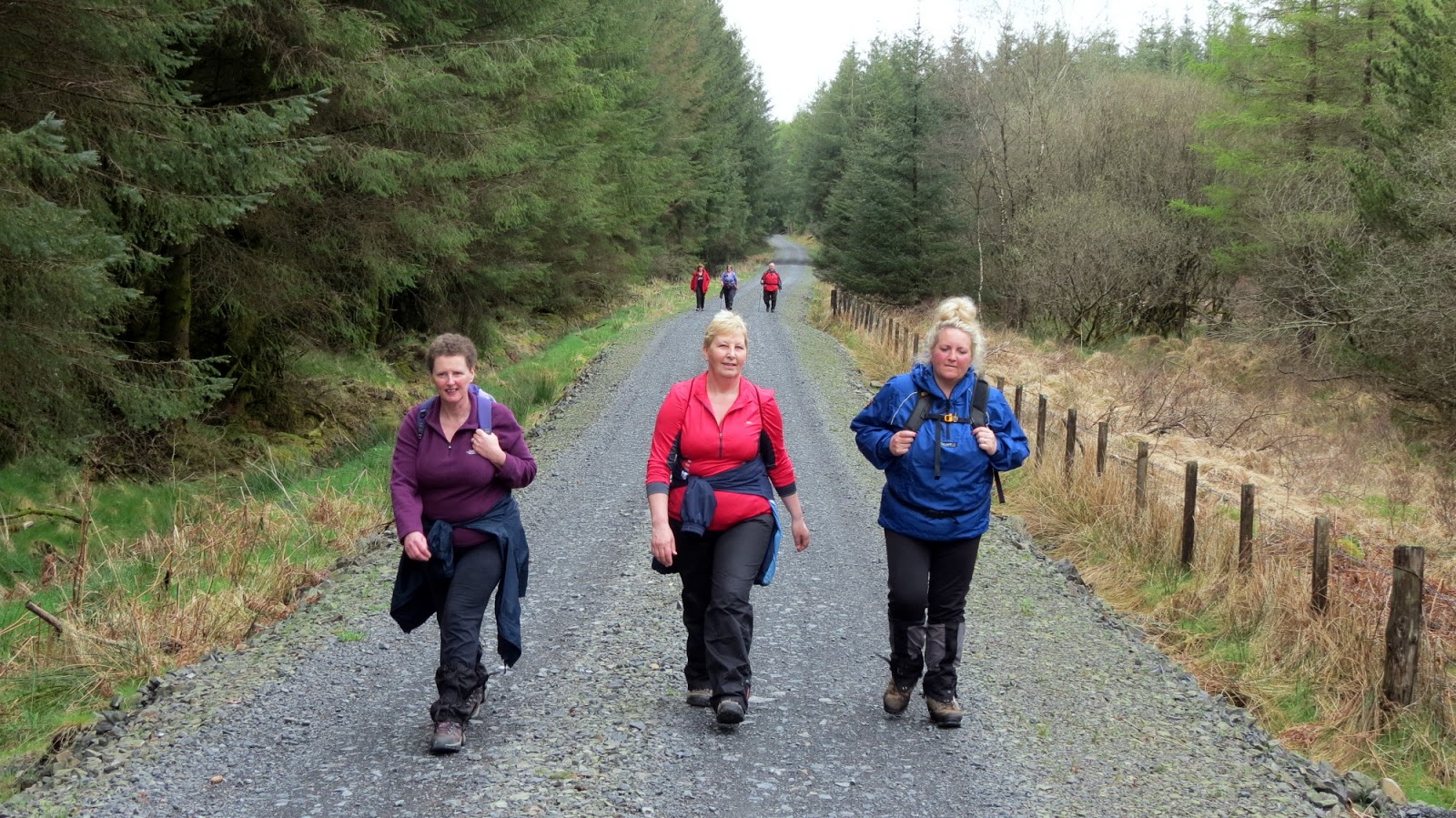 The Glebe Blog Three Walks Newton Stewart Walking Festival 2013