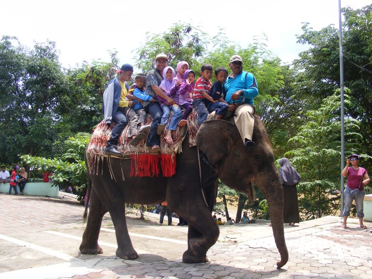 Kebun Binatang Bandung Ridwan kamil prihatin melihat ‘yani’ yang lumpuh di kebun binatang
