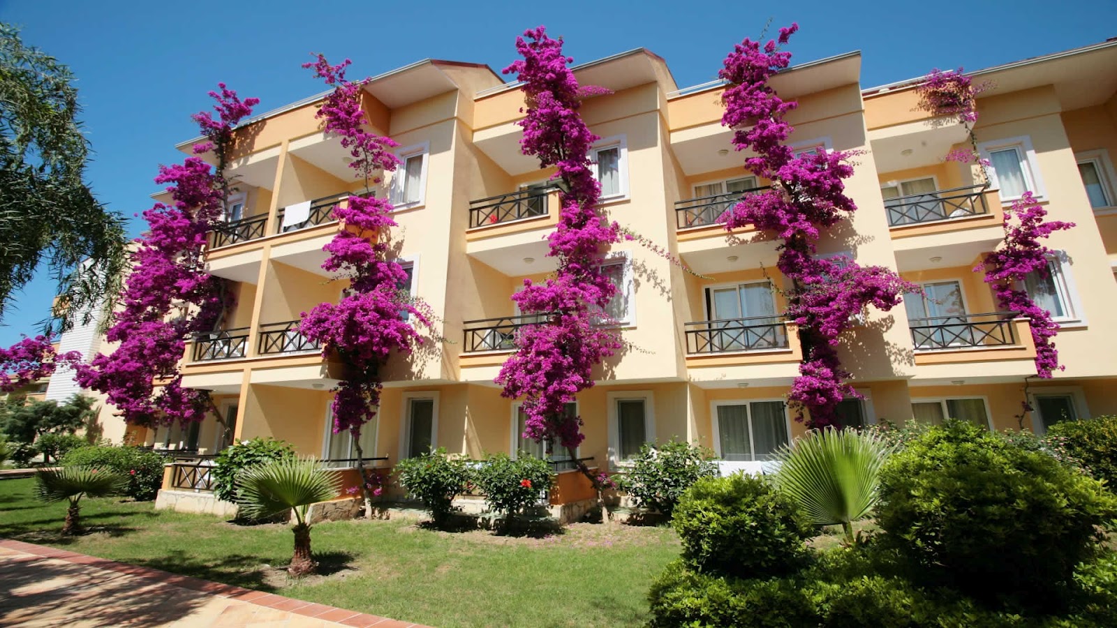 EV RESİMLERİManzaralar