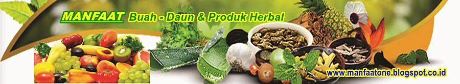 Manfaat Buah Sayur dan Produk Herbal