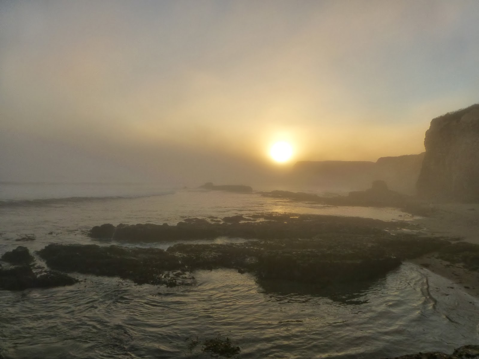 Books and Food: Spicy Asian Tofu Lettuce Wraps