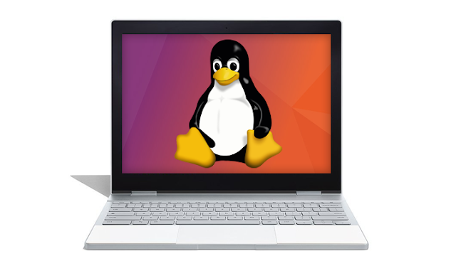 Aplikasi Linux terbaik untuk Chromebook
