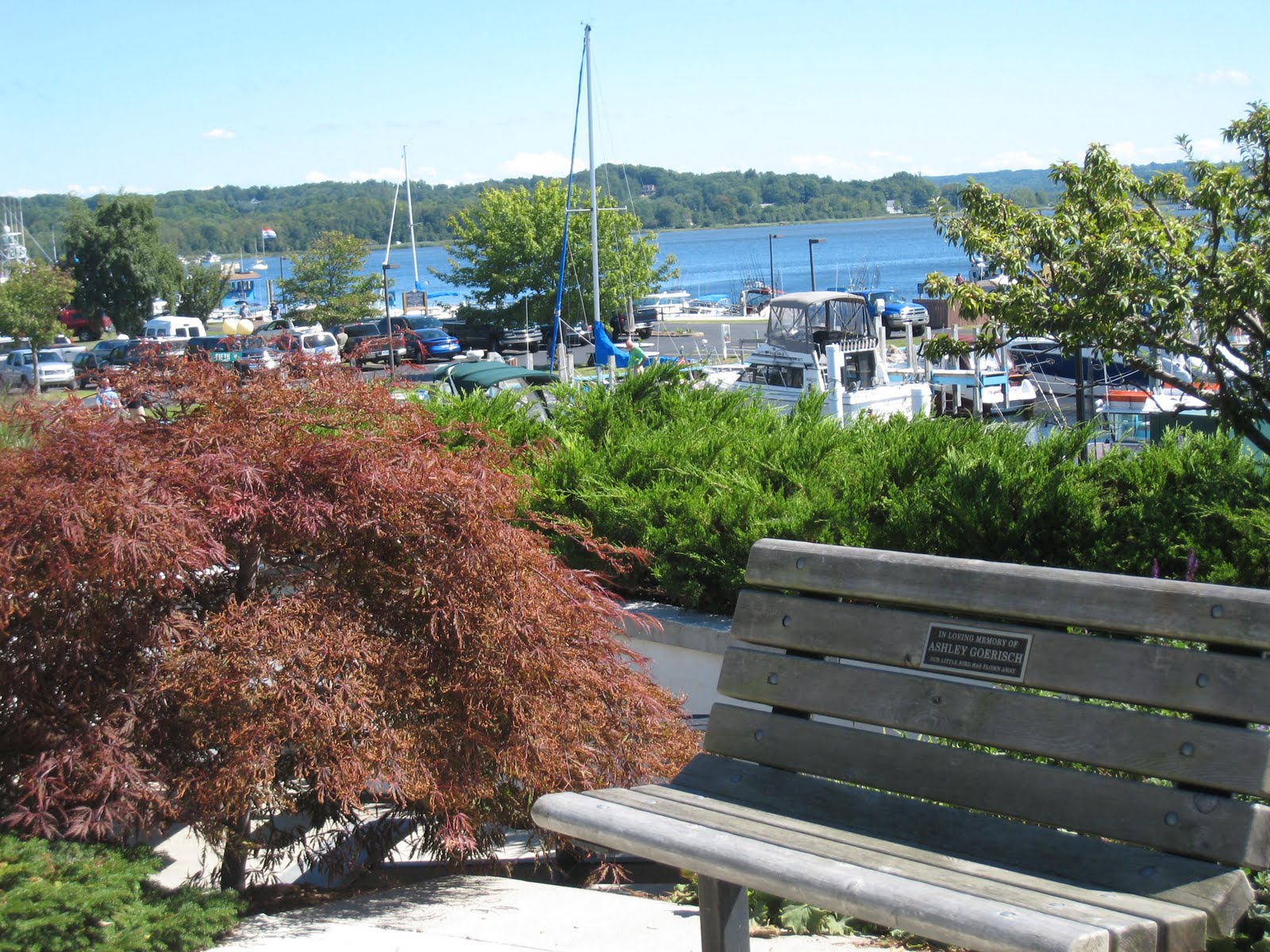 Rocky "Stops" Traverse City to Frankfort