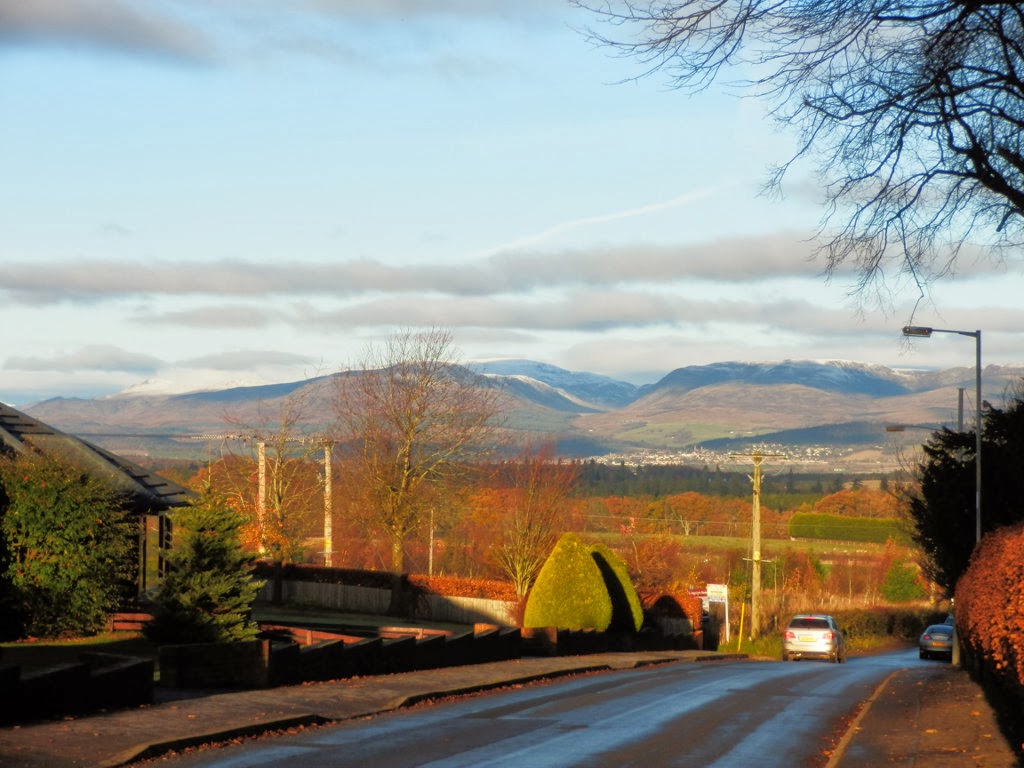 My Daily Walk The Oak Walk, Auchterarder
