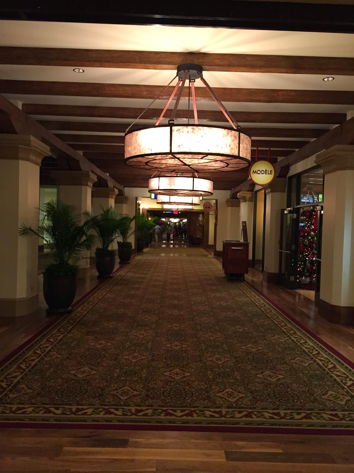 CRUISE LIKE A DAVIS L